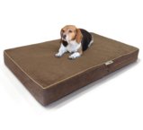 BestDealDepot- Premium Solid Memory Foam Pet Bed / Dog Mat with Waterproof Cover | Color: Chocolate , Size: 35